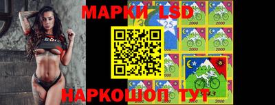 винт Донецк