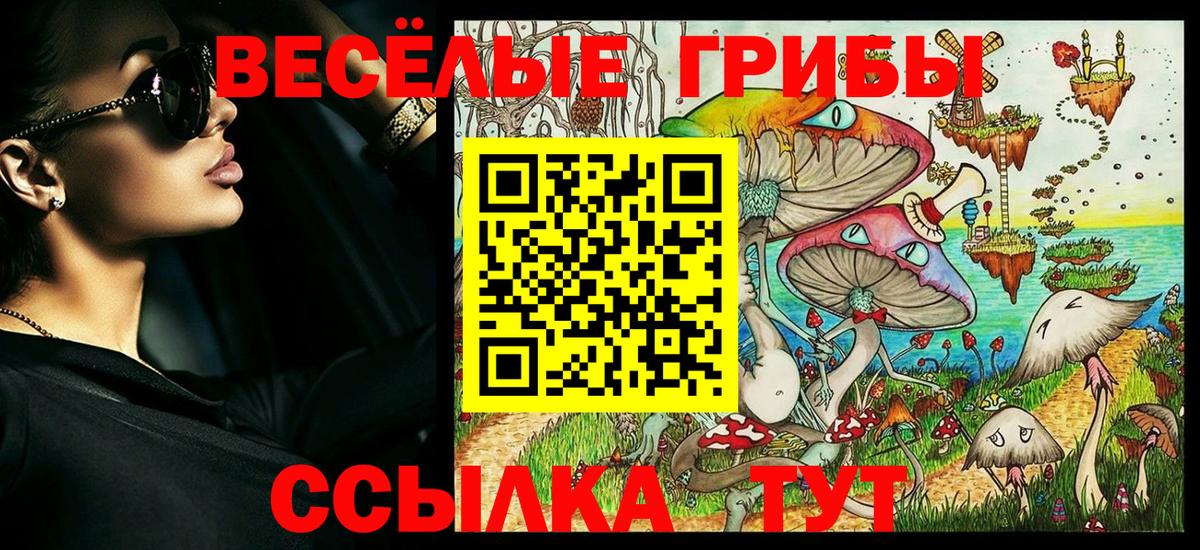 Галлюциногенные грибы Psilocybine cubensis Черкесск