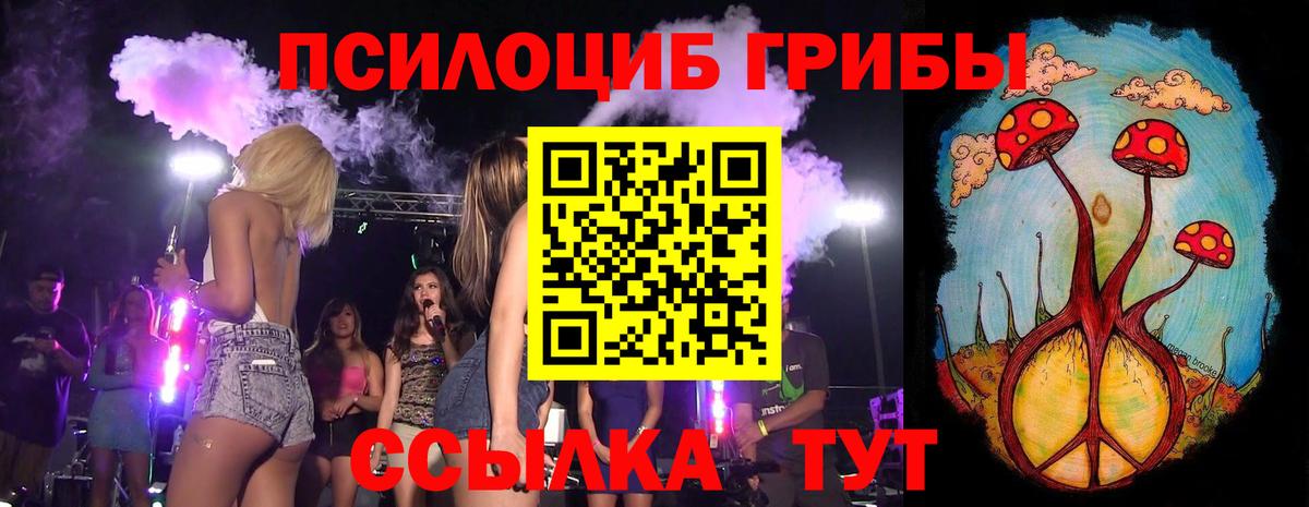 Галлюциногенные грибы Cubensis  Вход с VPN  Черкесск 